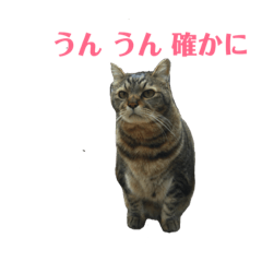 mi kun