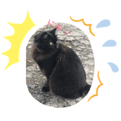 MOKO_20190513190011