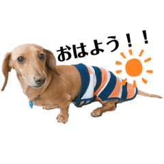 asuka_20190514044935