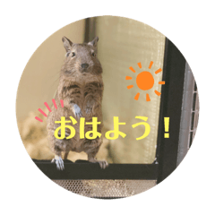 asuka_20190514031115