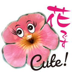 Cute flower pictures 2
