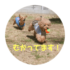 asuka_20190514024816