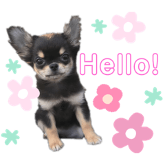 ayano_20190514012132