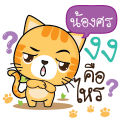 NONGSORN Sesa cat_S