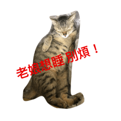 臭臭駕到！