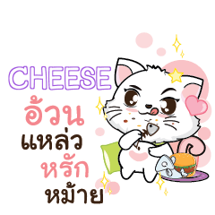 CHEESE Seenuan cat_S e