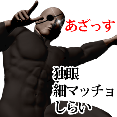 Shirai hoso muscle
