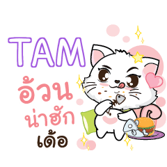 TAM Seenuan cat_E e