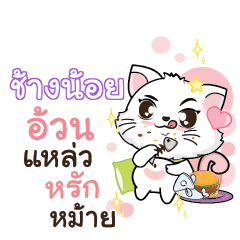 CHNGNOI Seenuan cat_S