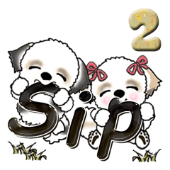 シーズー犬(スペイン語)Vol.2