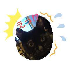 Saori_20190514212629