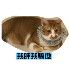 我是肥貓