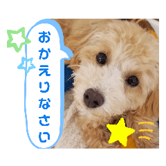 wagayanotoipu