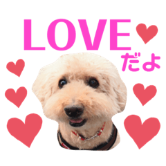 CHISATO_201905142230