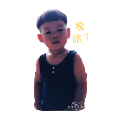 鵬鵬