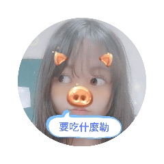 小飛豬日常