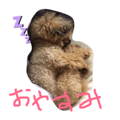 kuu_20190515135209