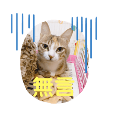 Nani貼圖日記