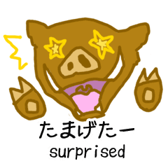 LINE STORE  LINE Corporation Link友だちを選択