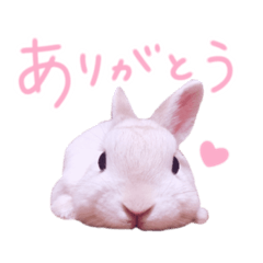 mofu .