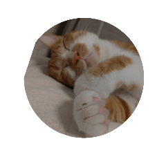Hiroyuki_20190515094757