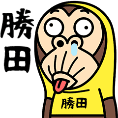 Katsuta is a Funny Monkey