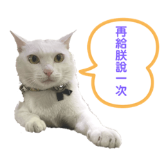 肥嚕日記