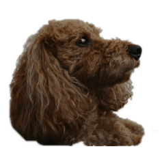 takumi_20190515063828