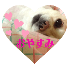 midori_20190515000724