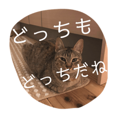 mimi_20190515121708