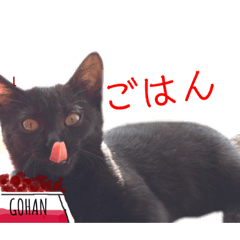 KURO0515