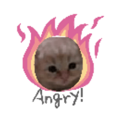 Saori_20190515025512