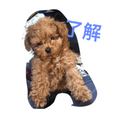 kawaiiandy