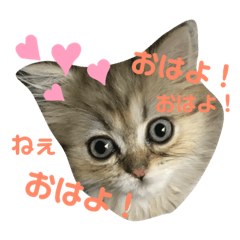 IKU_20190515202422