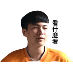胖達施阿波