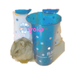 Nanami_20190516000924