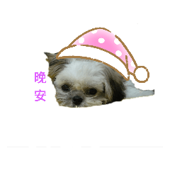錢錢日常……