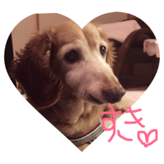 kuu_20190516120403