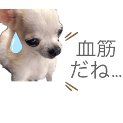 aoi_20190514002603