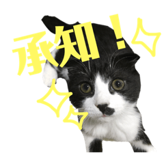 erichika_20190516083651