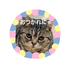 saori_20190516104831