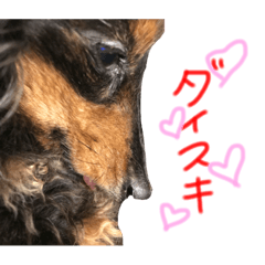 nonchan_20190516032620