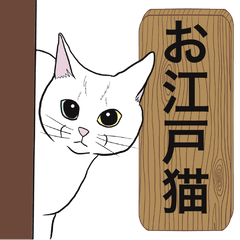 CAT in Edo