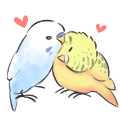 yurufuwa-parakeet