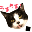 日本猫ねこ協会 公式スタンプ