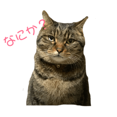 Marina_20190516211047