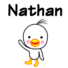 Nathan name sticker(Bird boy)