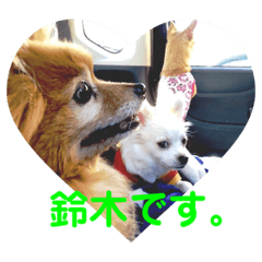 chihiro_20190517000145