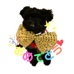 Nakamura Chip   toypoodles