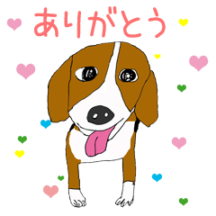 Love dog choco.